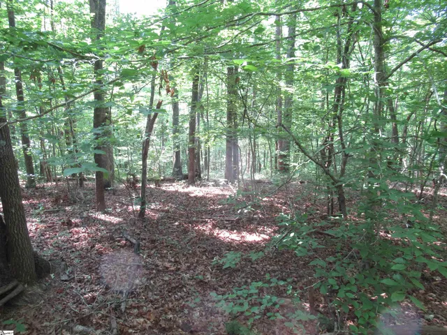 $20,000 | 205 Gauley Falls Road, Pickens, SC 29671