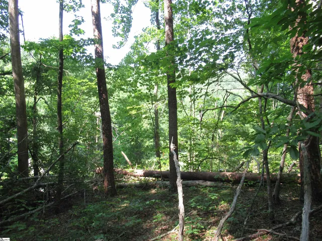 $20,000 | 205 Gauley Falls Road, Pickens, SC 29671