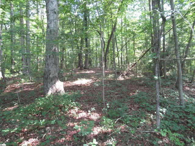 $20,000 | 205 Gauley Falls Road, Pickens, SC 29671