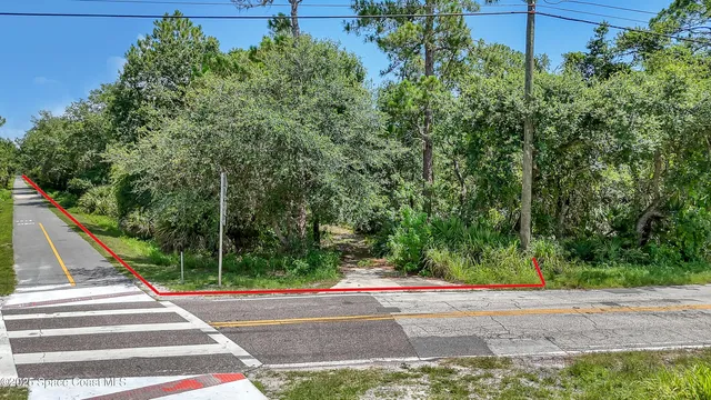 a view of a yard with plants
