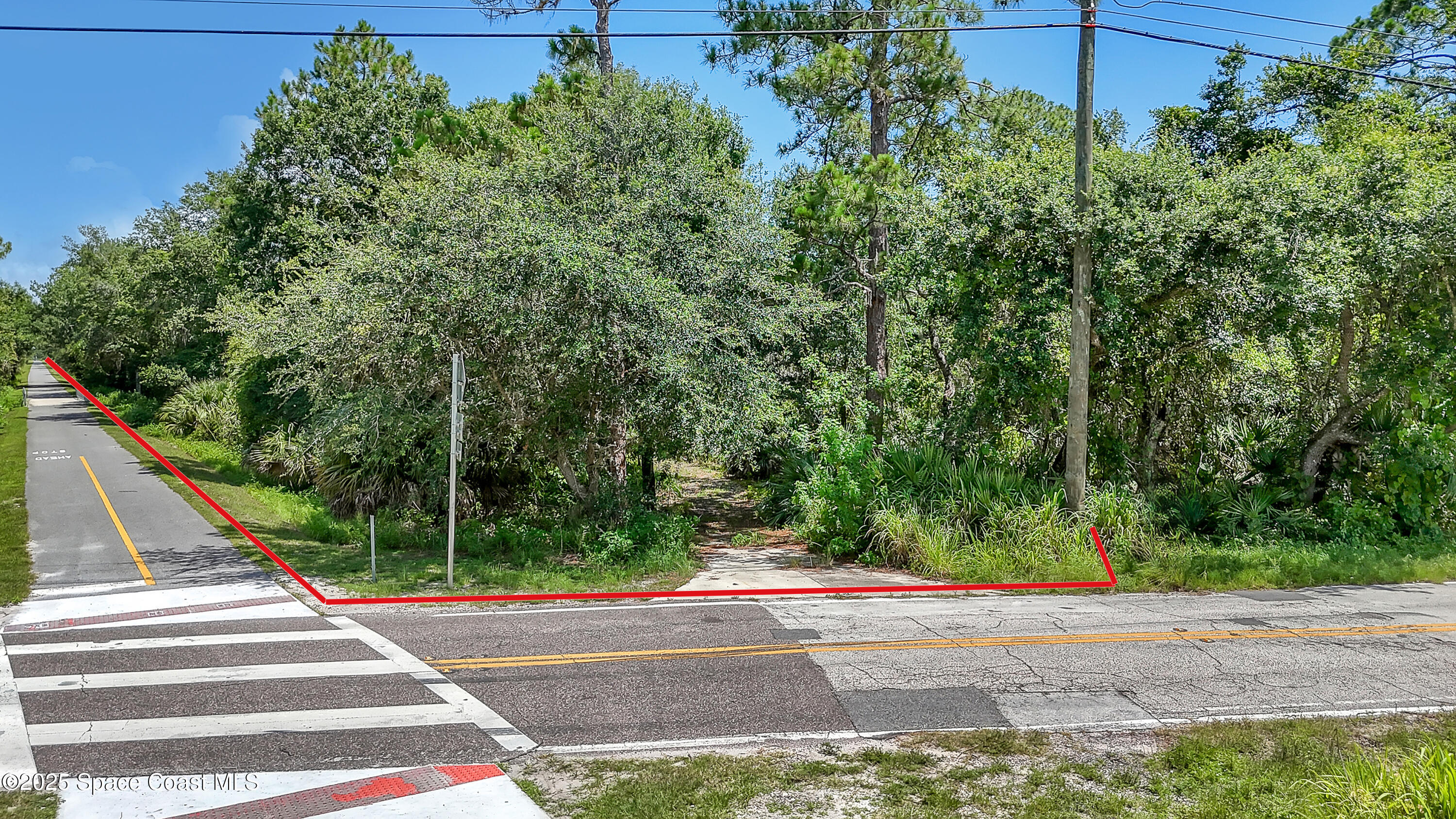 4300 Burkholm Road Mims, FL 32754 - Photo 3 of 15 a view of a yard with plants