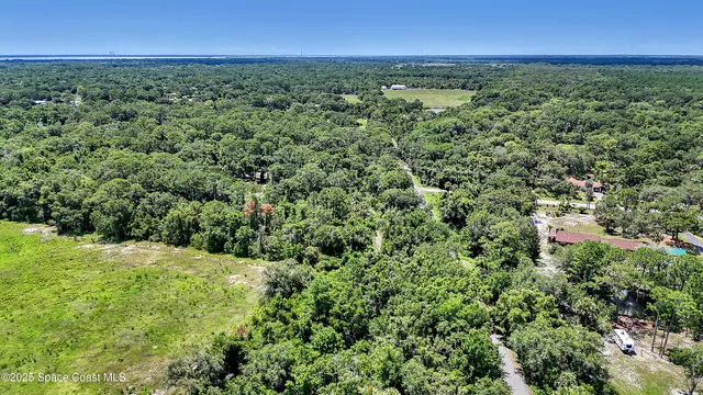 a view of a big yard with lots of bushes