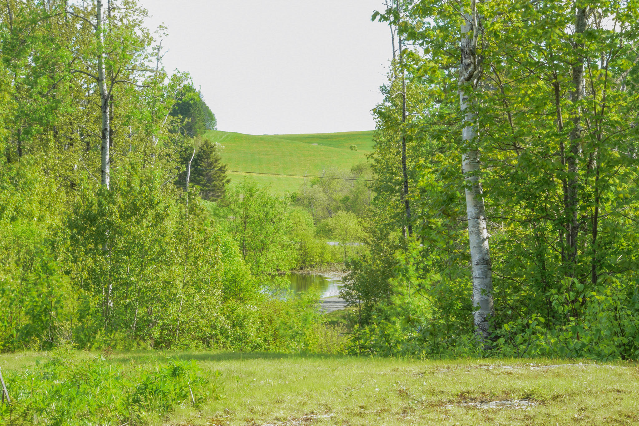 368 Charette Hill Road Fort Kent, ME 04743 - Photo 27 of 36 DSC_3369