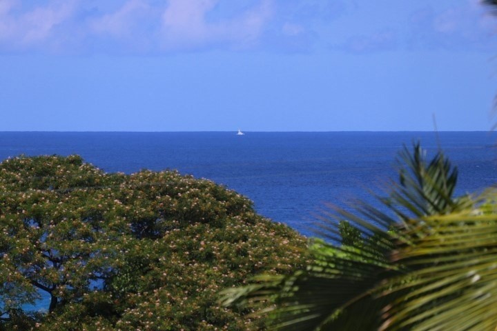 a view of beach and ocean