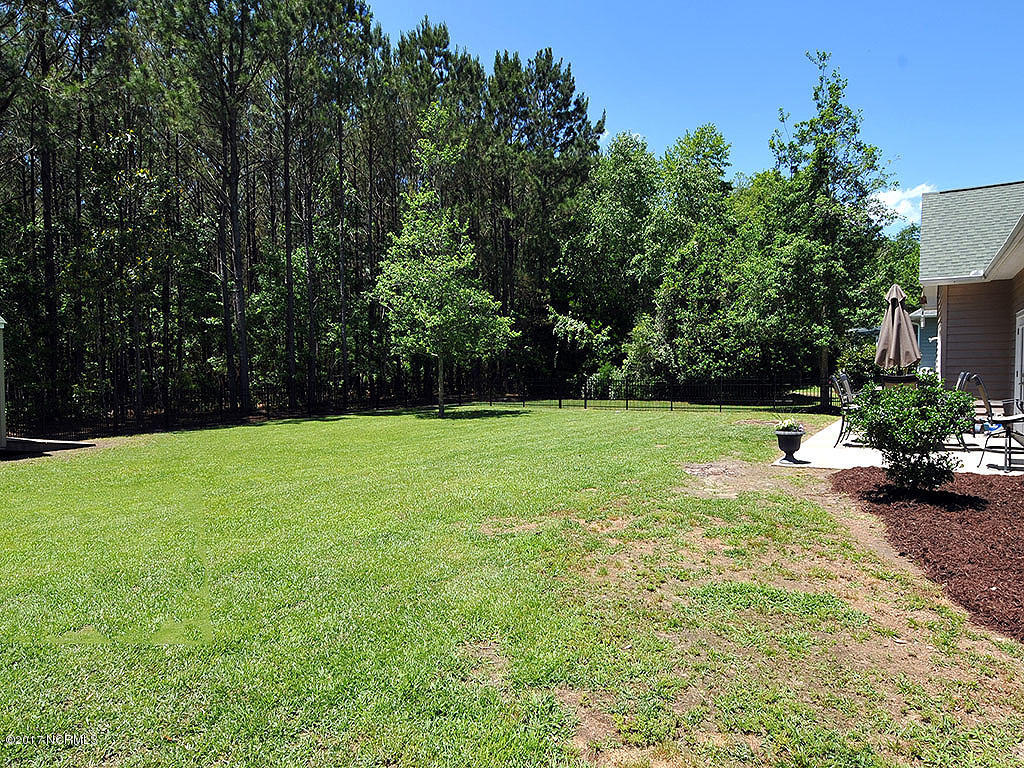 138 Olde Point Road Hampstead, NC 28443 - Photo 24 of 32 22. Backyard