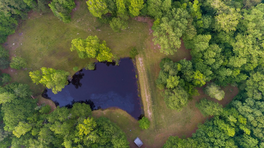 124 Louisville Road Grovetown, GA 30813 - Photo 56 of 63