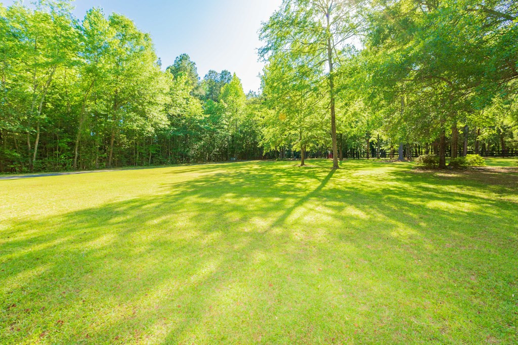 124 Louisville Road Grovetown, GA 30813 - Photo 7 of 63