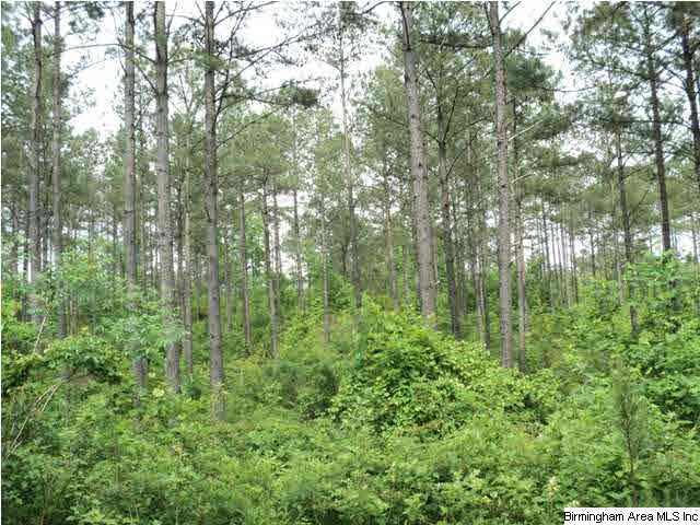 485 County Road, Unit 110 Clanton, AL 35046 - Photo 18 of 22