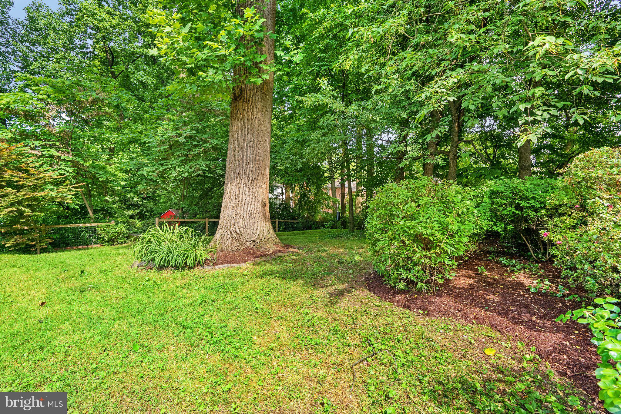 524 Ashford Road Silver Spring, MD 20910 - Photo 46 of 50 Gallery Image 46