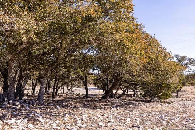 $390,000 | 138 Spanish Oak Trail, Harper, TX 78631