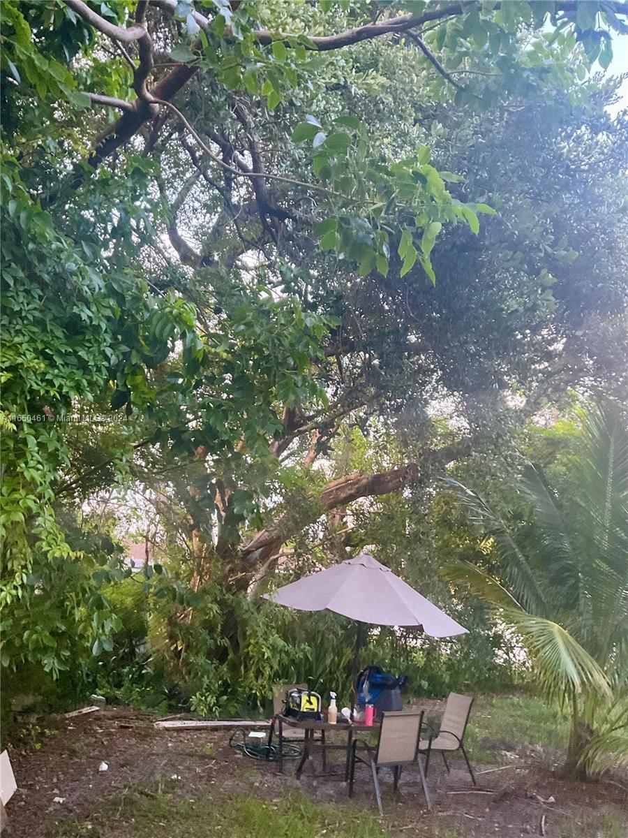 204 Southwest 2nd Place, Unit 2 Dania Beach, FL 33004 - Photo 5 of 13 a table and chairs in the middle of a yard