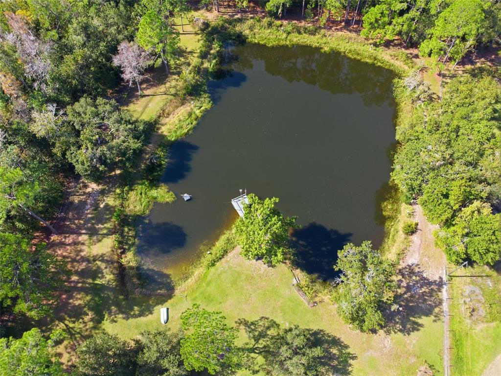 9240 Moore Road Lakeland, FL 33809 - Photo 46 of 61