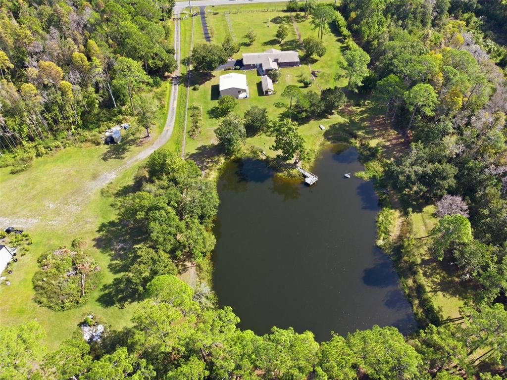 9240 Moore Road Lakeland, FL 33809 - Photo 48 of 61 a view of a garden with plants