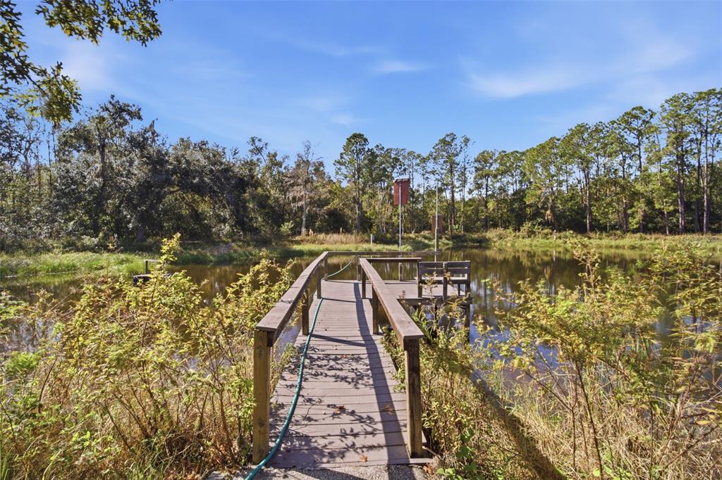 9240 Moore Road Lakeland, FL 33809 - Photo 60 of 61 a view of a lake with a building in the background