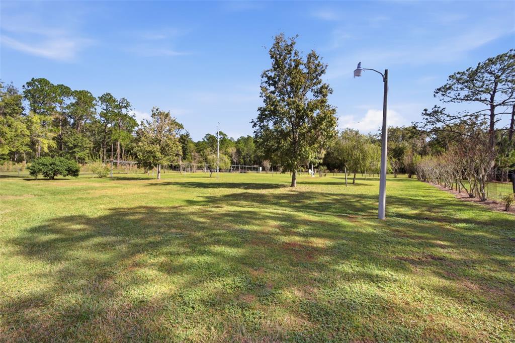 9240 Moore Road Lakeland, FL 33809 - Photo 61 of 61 a view of a big yard with palm trees