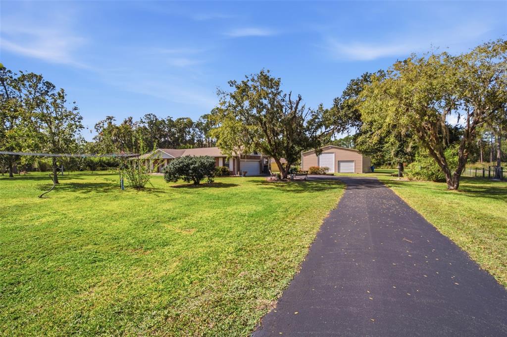 9240 Moore Road Lakeland, FL 33809 - Photo 9 of 61 a view of a park with large trees