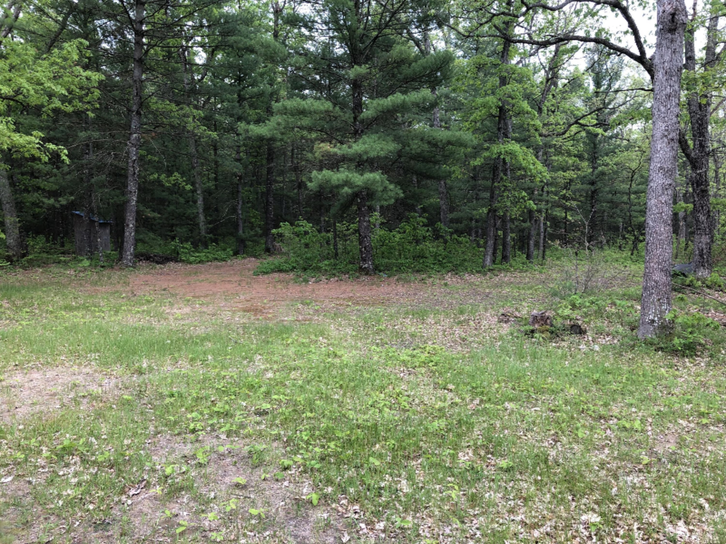 4375 Laverne Road Wellston, MI 49689 - Photo 11 of 35 IMG_1136
