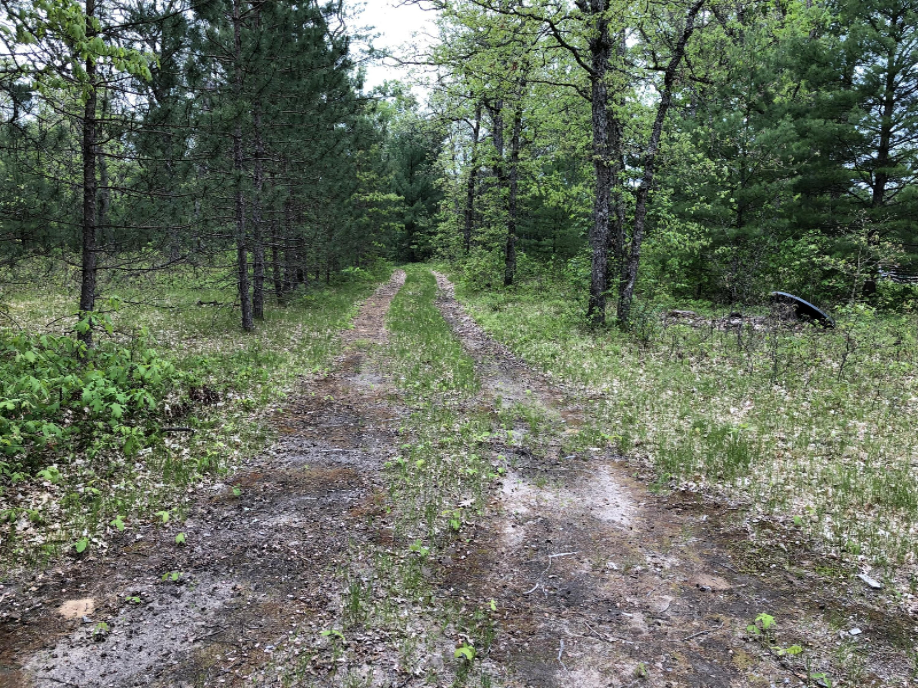 4375 Laverne Road Wellston, MI 49689 - Photo 25 of 35 IMG_1147