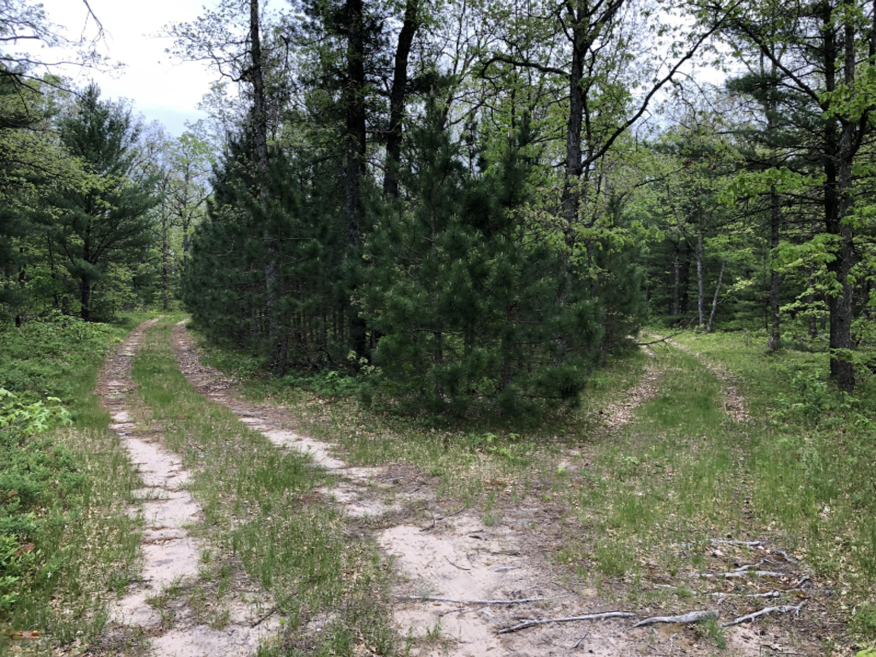 4375 Laverne Road Wellston, MI 49689 - Photo 26 of 35 IMG_1149