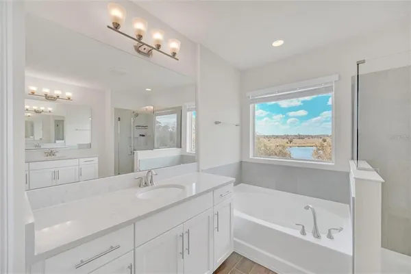 a bathroom with a sink a large mirror and a bathtub with shower