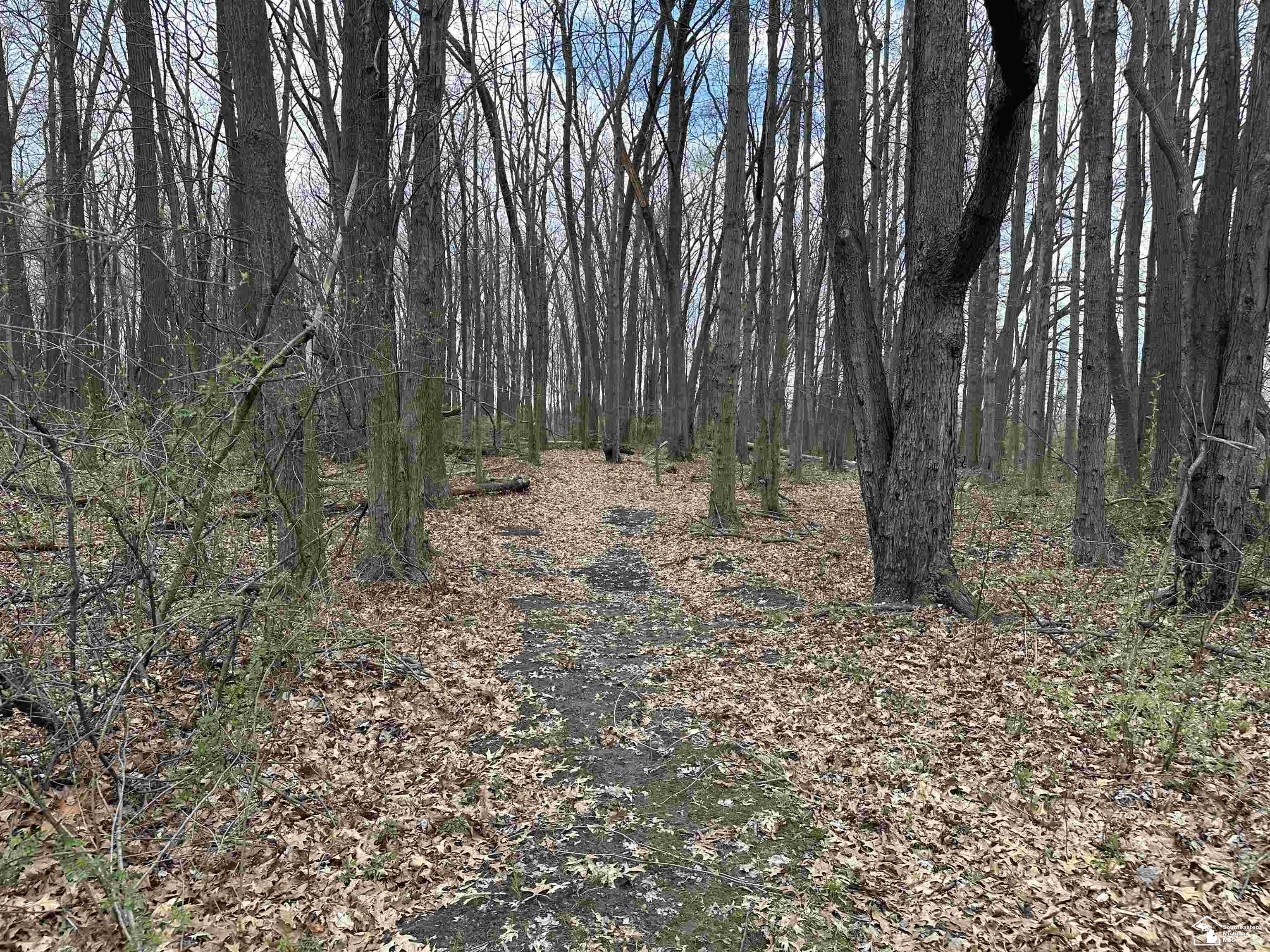 9405 Crabb Road Temperance, MI 48182 - Photo 29 of 39 Gallery Image 29