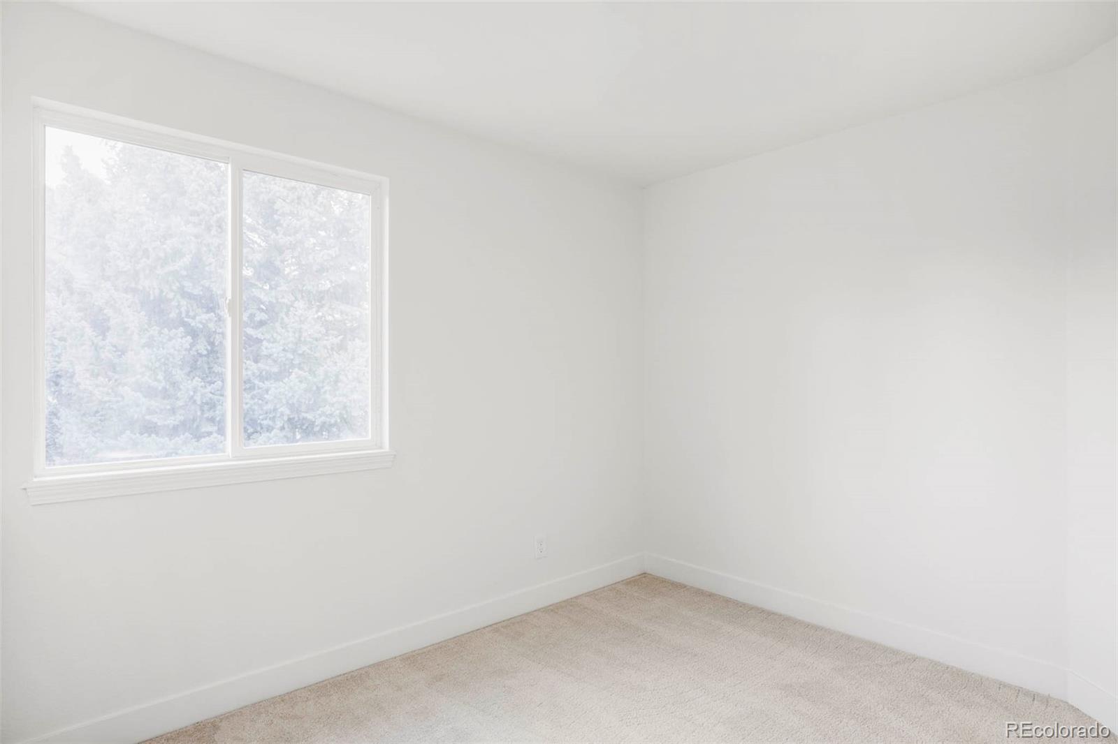 10499 Cheetah Winds Lone Tree, CO 80124 - Photo 14 of 22