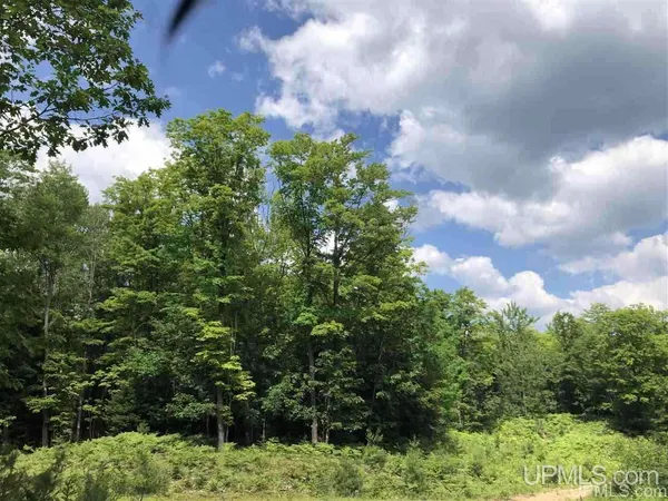 $19,500 | Lot G Maplewood Drive, Gwinn, MI 49841