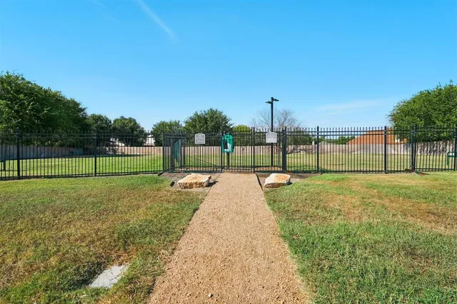 a view of a park with a large trees