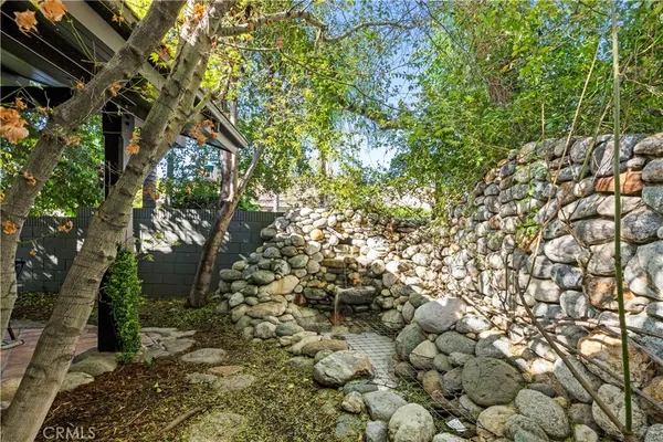 a view of a tree with a tree