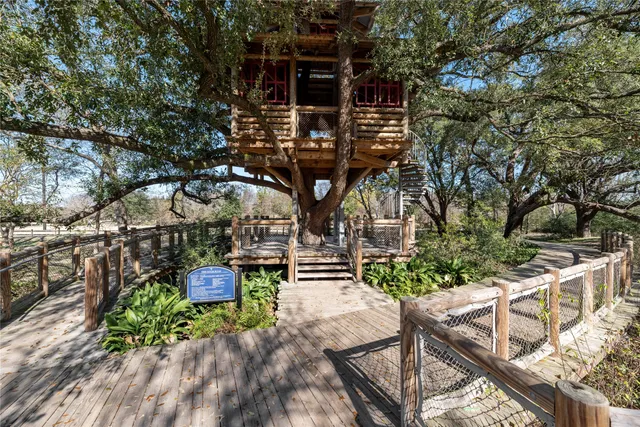 a view of a bunch of flowers and yard