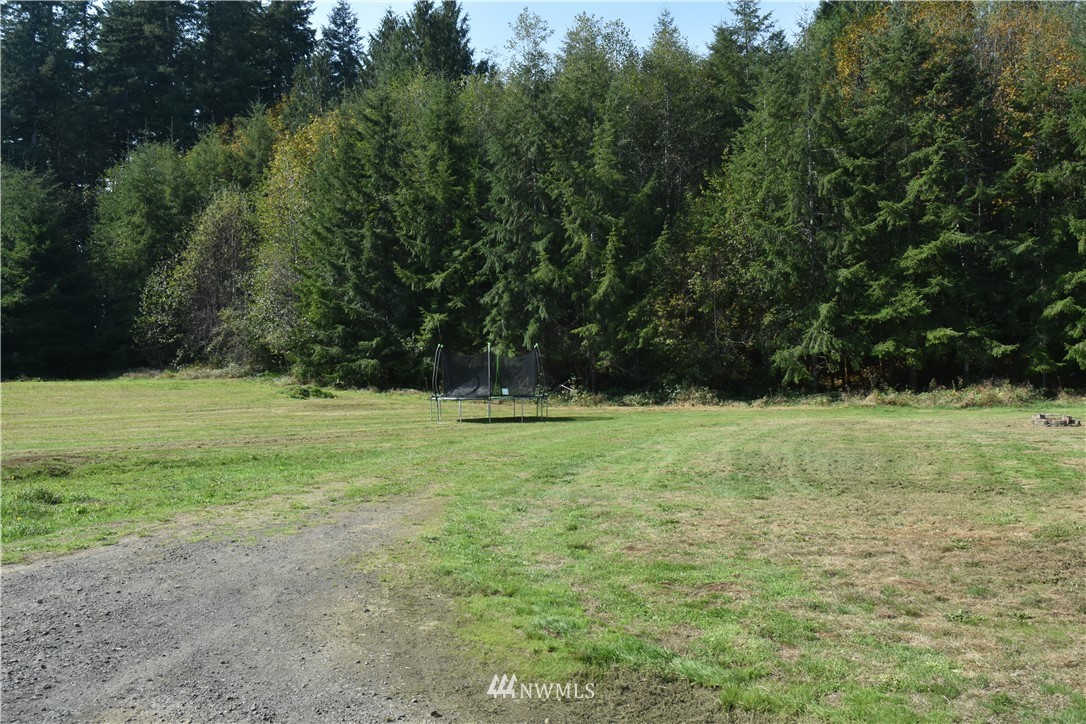 49 East Mox Chehalis Road McCleary, WA 98557 - Photo 2 of 26 Gallery Image 2