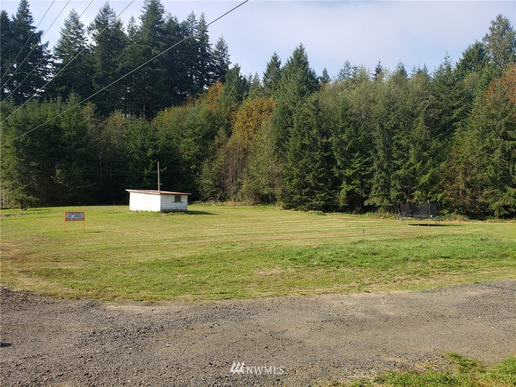 49 East Mox Chehalis Road McCleary, WA 98557 - Photo 4 of 26 Gallery Image 4