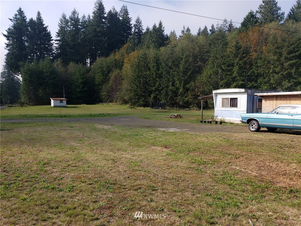 49 East Mox Chehalis Road McCleary, WA 98557 - Photo 5 of 26 Gallery Image 5