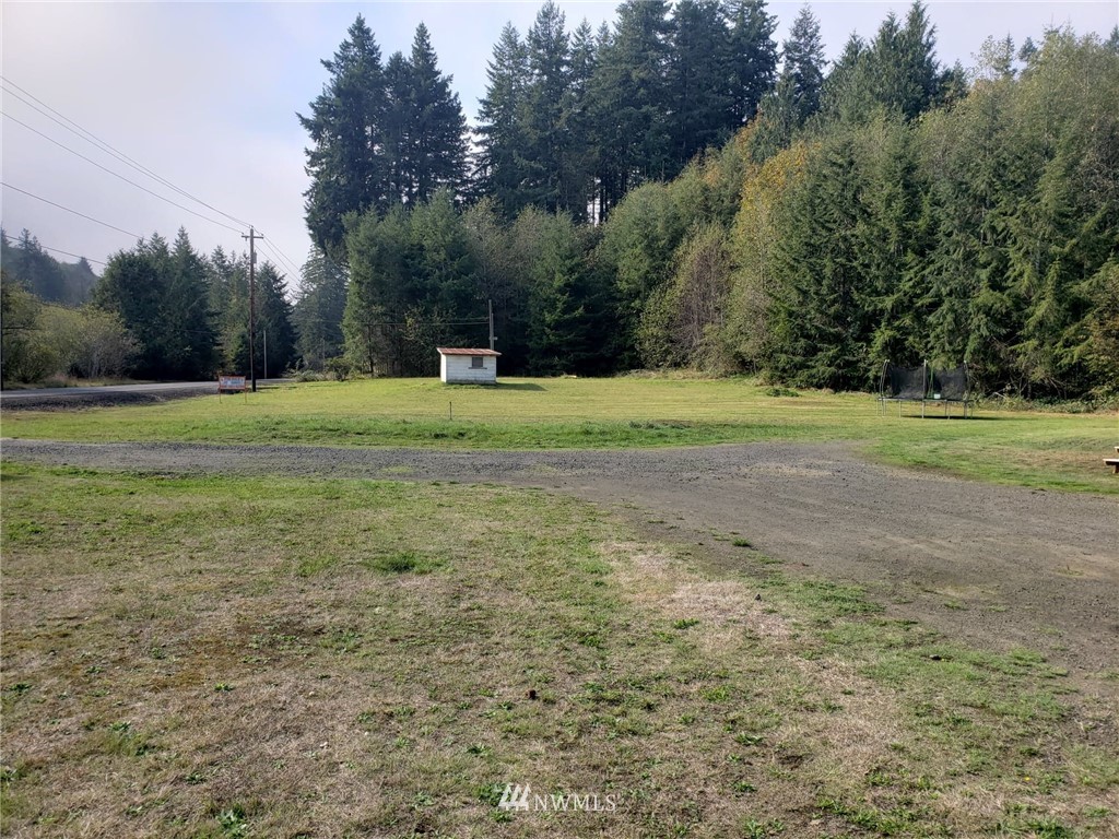 49 East Mox Chehalis Road McCleary, WA 98557 - Photo 8 of 26 Gallery Image 8
