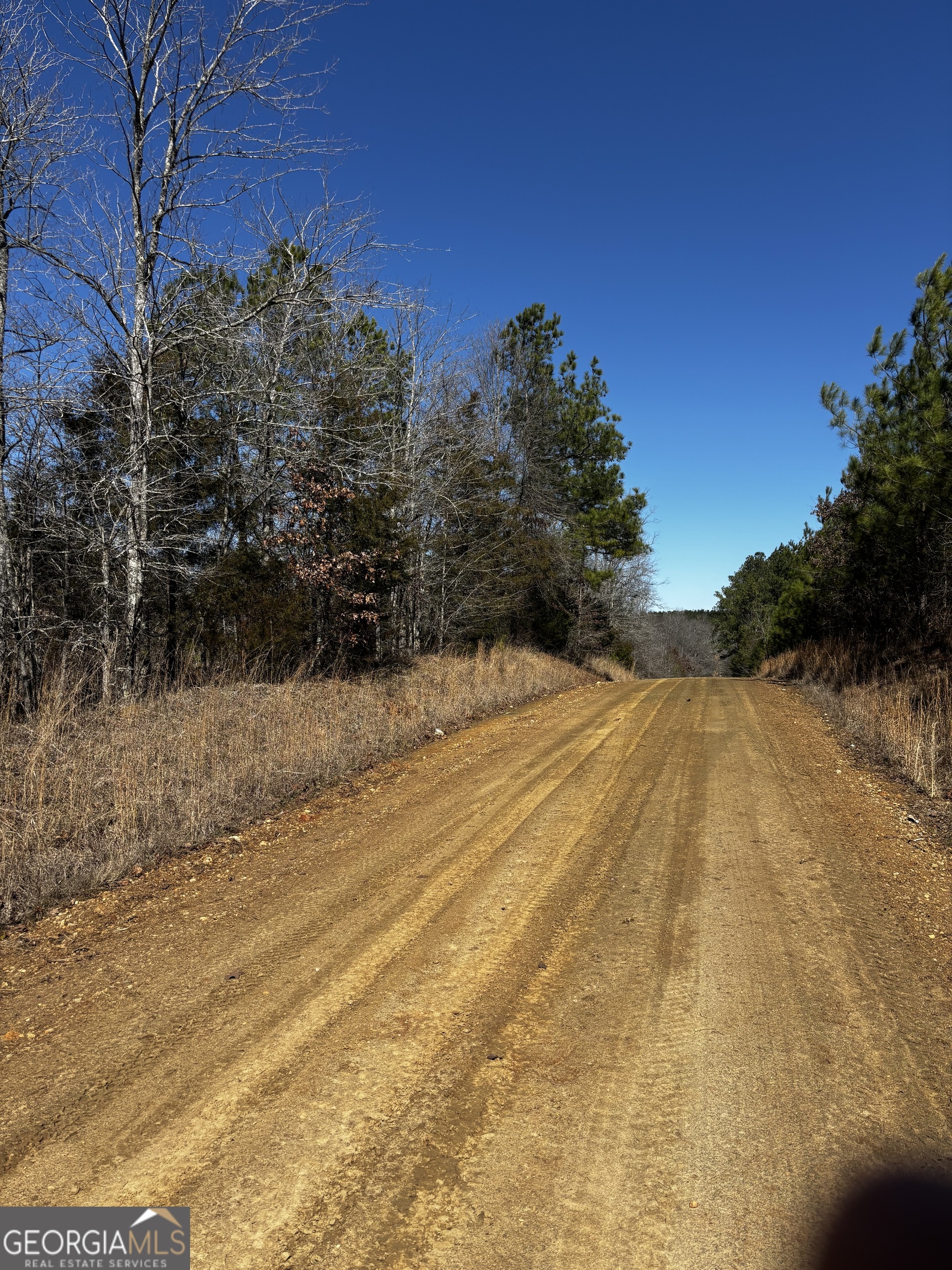 0 Thaxton Road Winterville, GA 30683 - Photo 3 of 19 Gallery Image 3