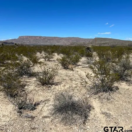 $30,000 | 31466 Ringtail South Tract, Alpine, TX 79830