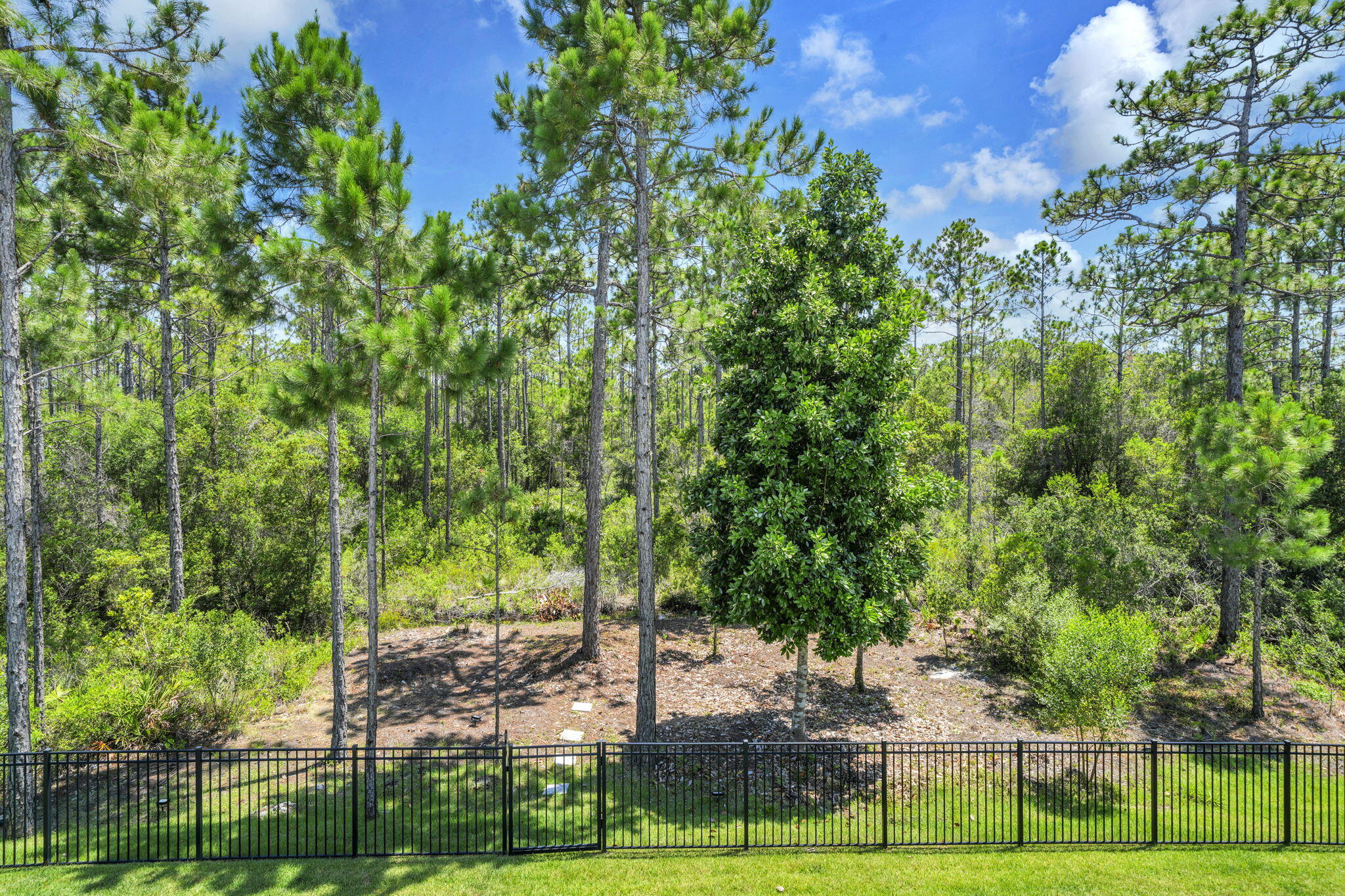 224 White Cottage Road Santa Rosa Beach, FL 32459 - Photo 54 of 58 68-web-or-mls-DSC02226_1