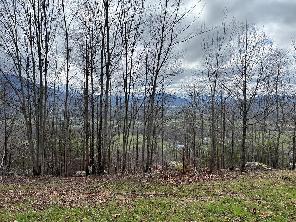2 Which A Way Sevierville, TN 37862 - Photo 6 of 22