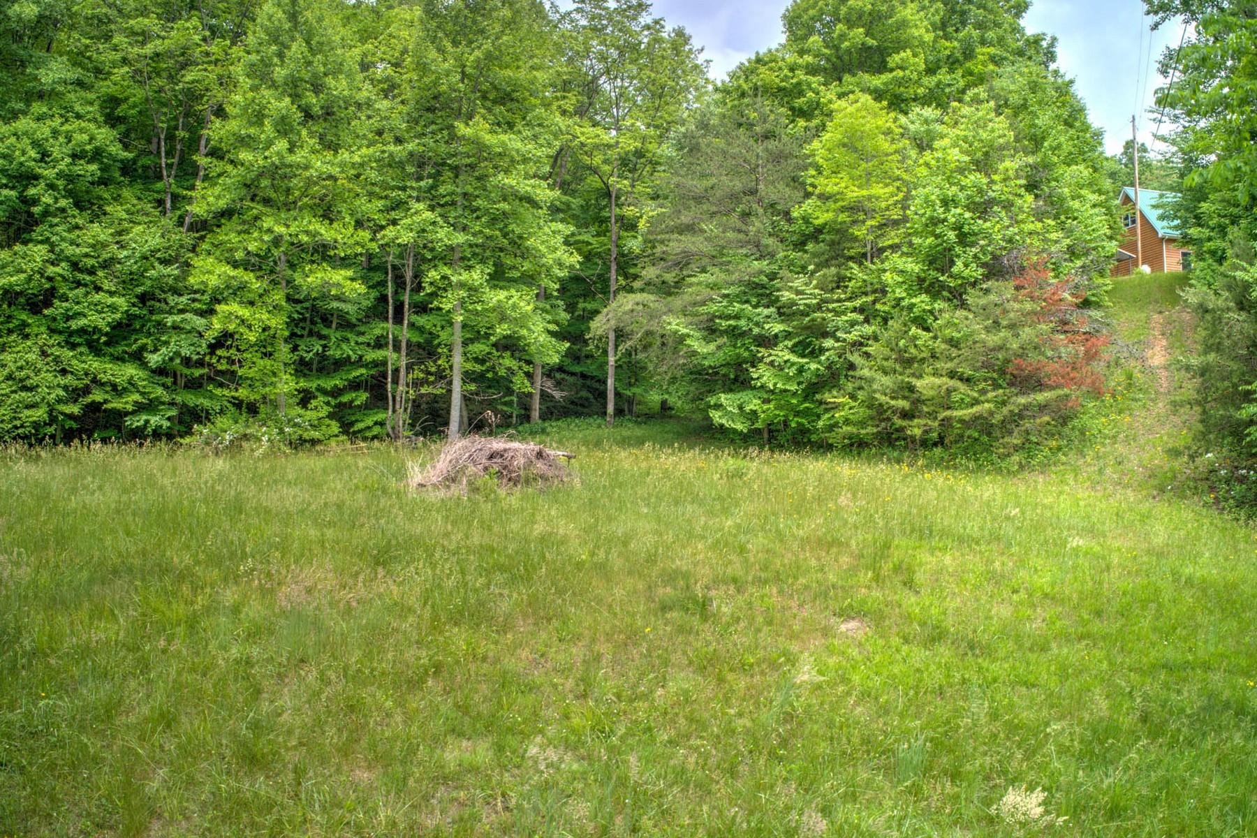 Copperhead Hollow Road Mountain City, TN 37683 - Photo 1 of 21 Copper hollow Rd1