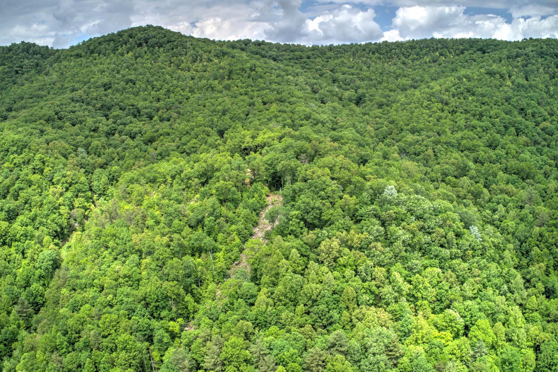 Copperhead Hollow Road Mountain City, TN 37683 - Photo 2 of 21 Copper hollow Rd5