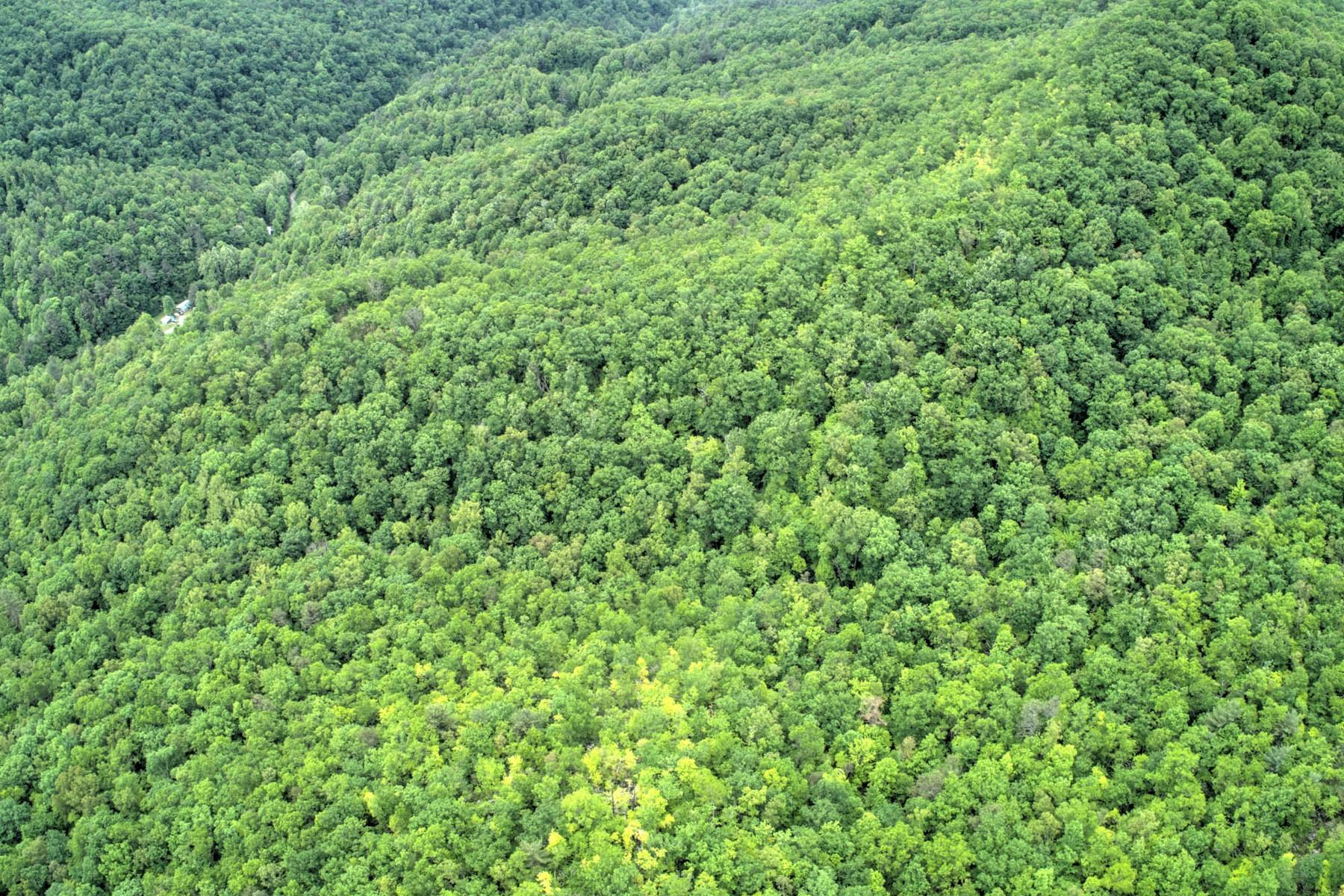 Copperhead Hollow Road Mountain City, TN 37683 - Photo 11 of 21 Copper hollow Rd14