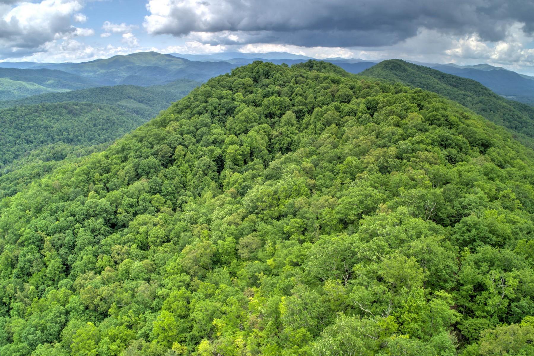 Copperhead Hollow Road Mountain City, TN 37683 - Photo 12 of 21 Copper hollow Rd15