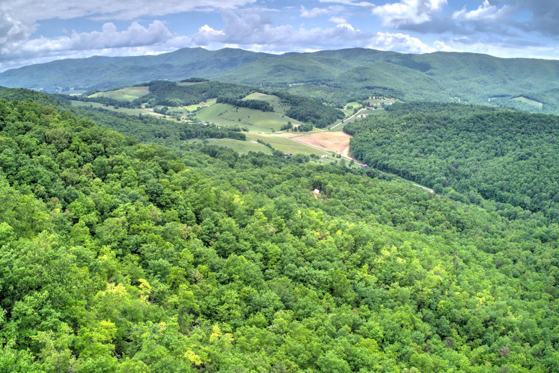 Copperhead Hollow Road Mountain City, TN 37683 - Photo 13 of 21 Copper hollow Rd16