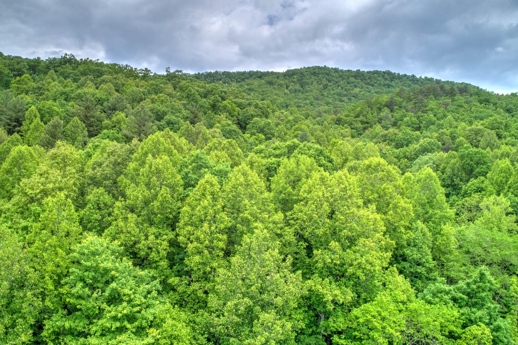 Copperhead Hollow Road Mountain City, TN 37683 - Photo 15 of 21 Copper hollow Rd18