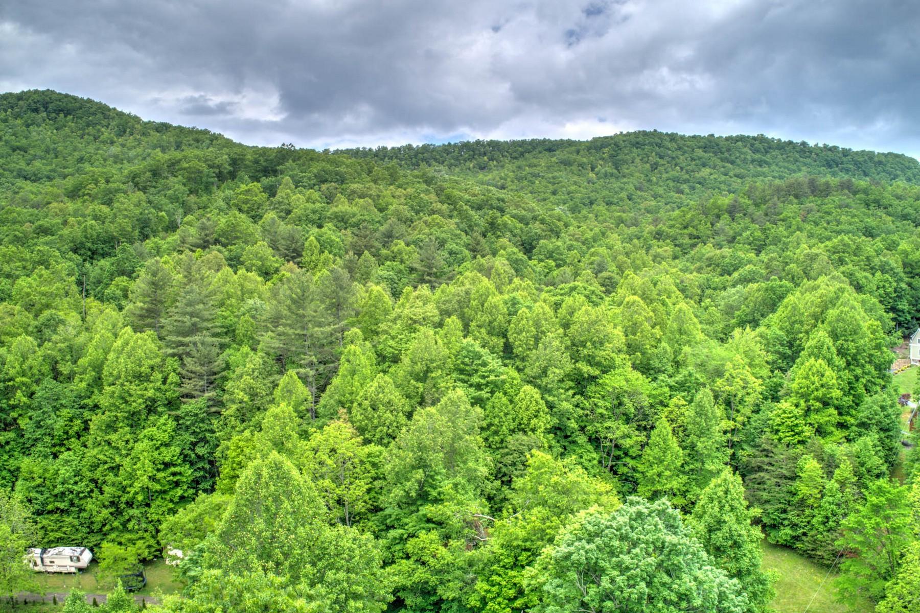 Copperhead Hollow Road Mountain City, TN 37683 - Photo 16 of 21 Copper hollow Rd19