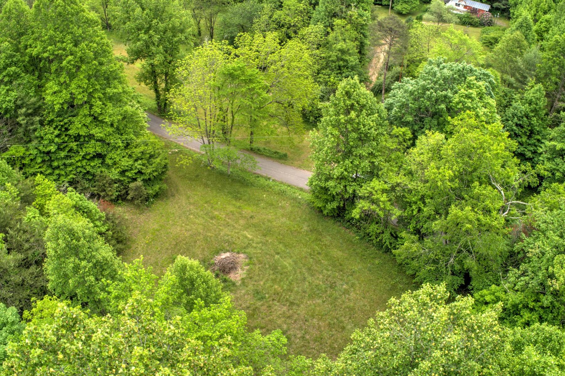 Copperhead Hollow Road Mountain City, TN 37683 - Photo 17 of 21 Copper hollow Rd20