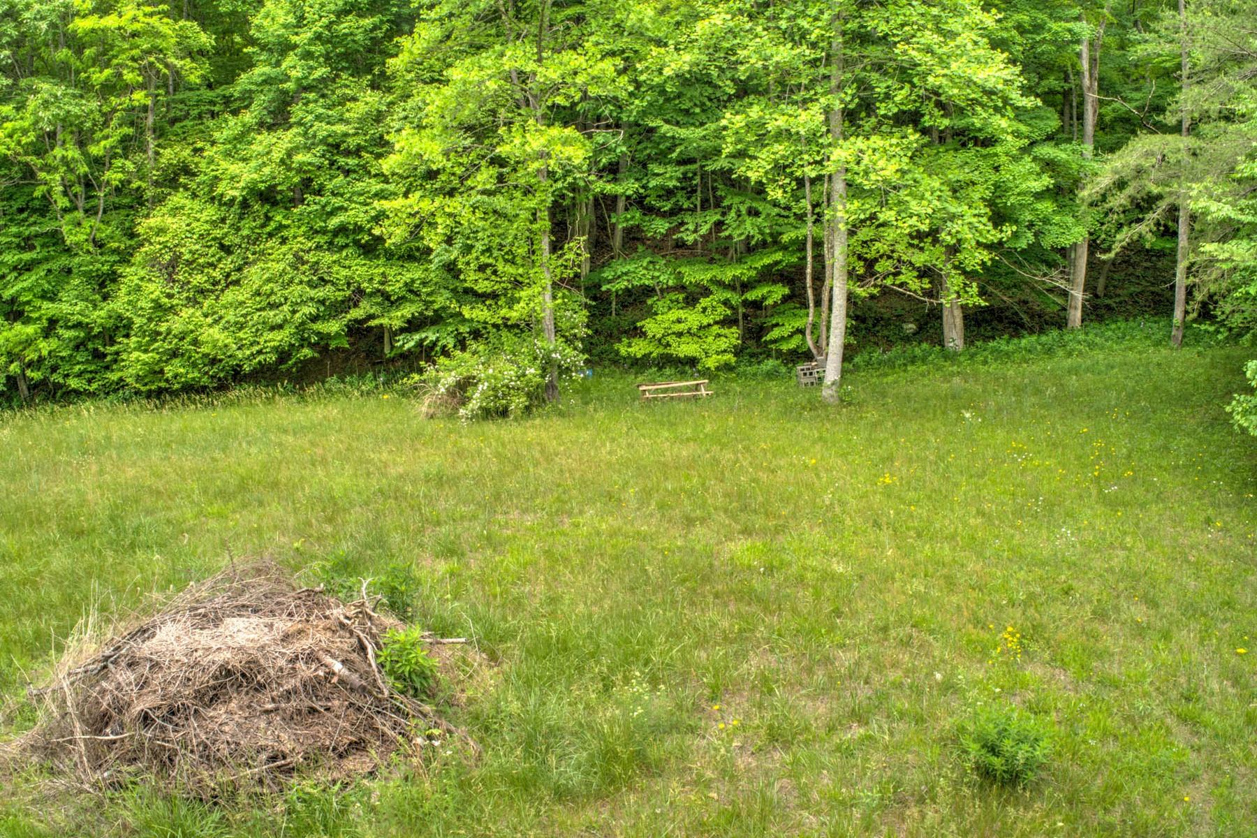 Copperhead Hollow Road Mountain City, TN 37683 - Photo 18 of 21 Copper hollow Rd21