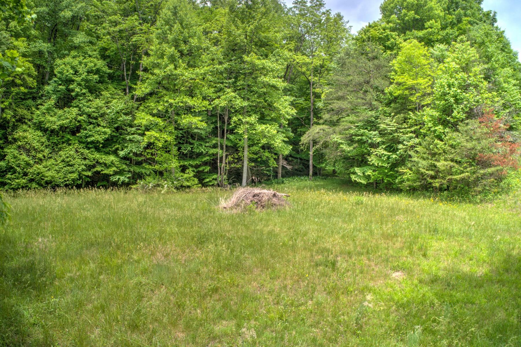 Copperhead Hollow Road Mountain City, TN 37683 - Photo 19 of 21 Copper hollow Rd2