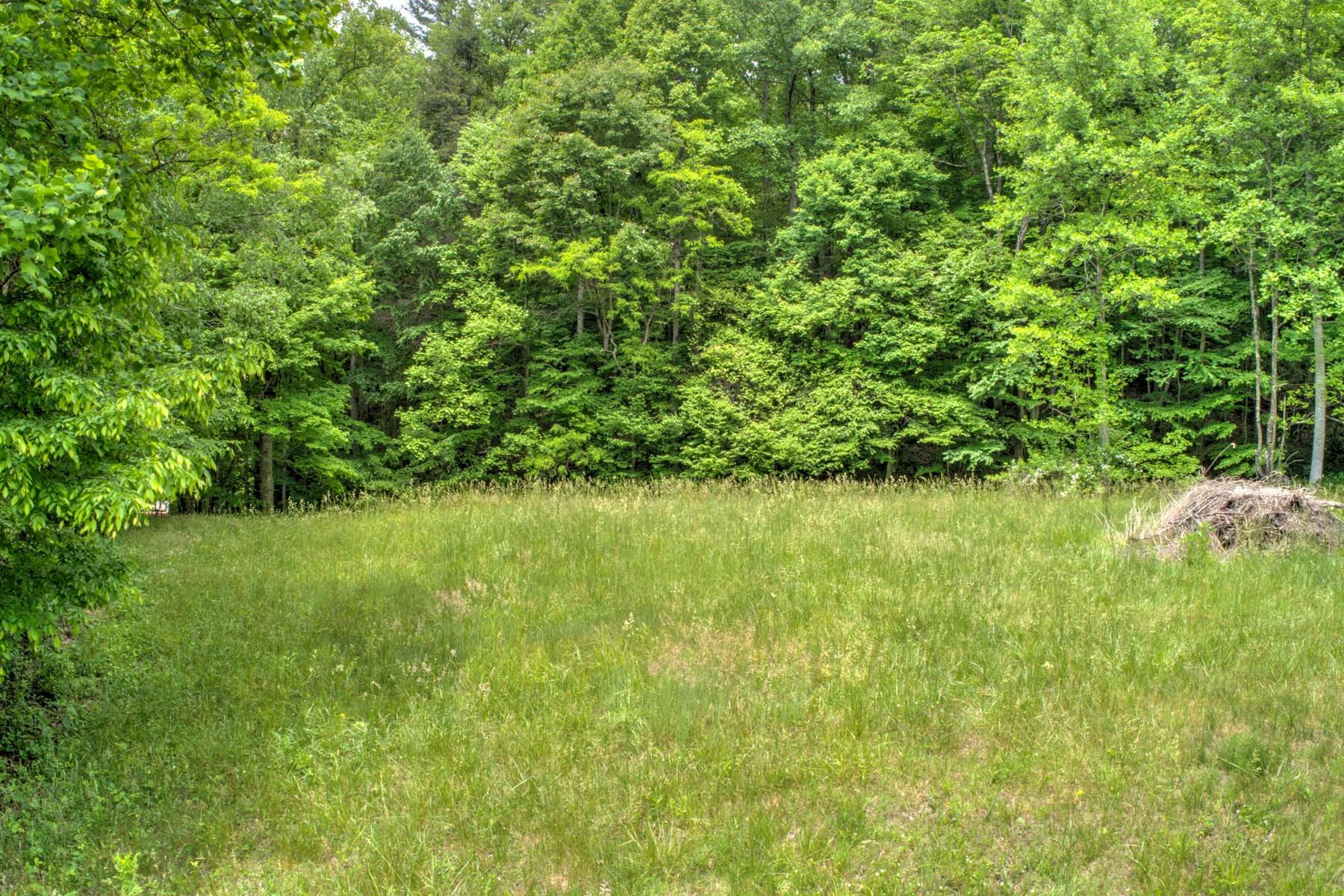 Copperhead Hollow Road Mountain City, TN 37683 - Photo 20 of 21 Copper hollow Rd3