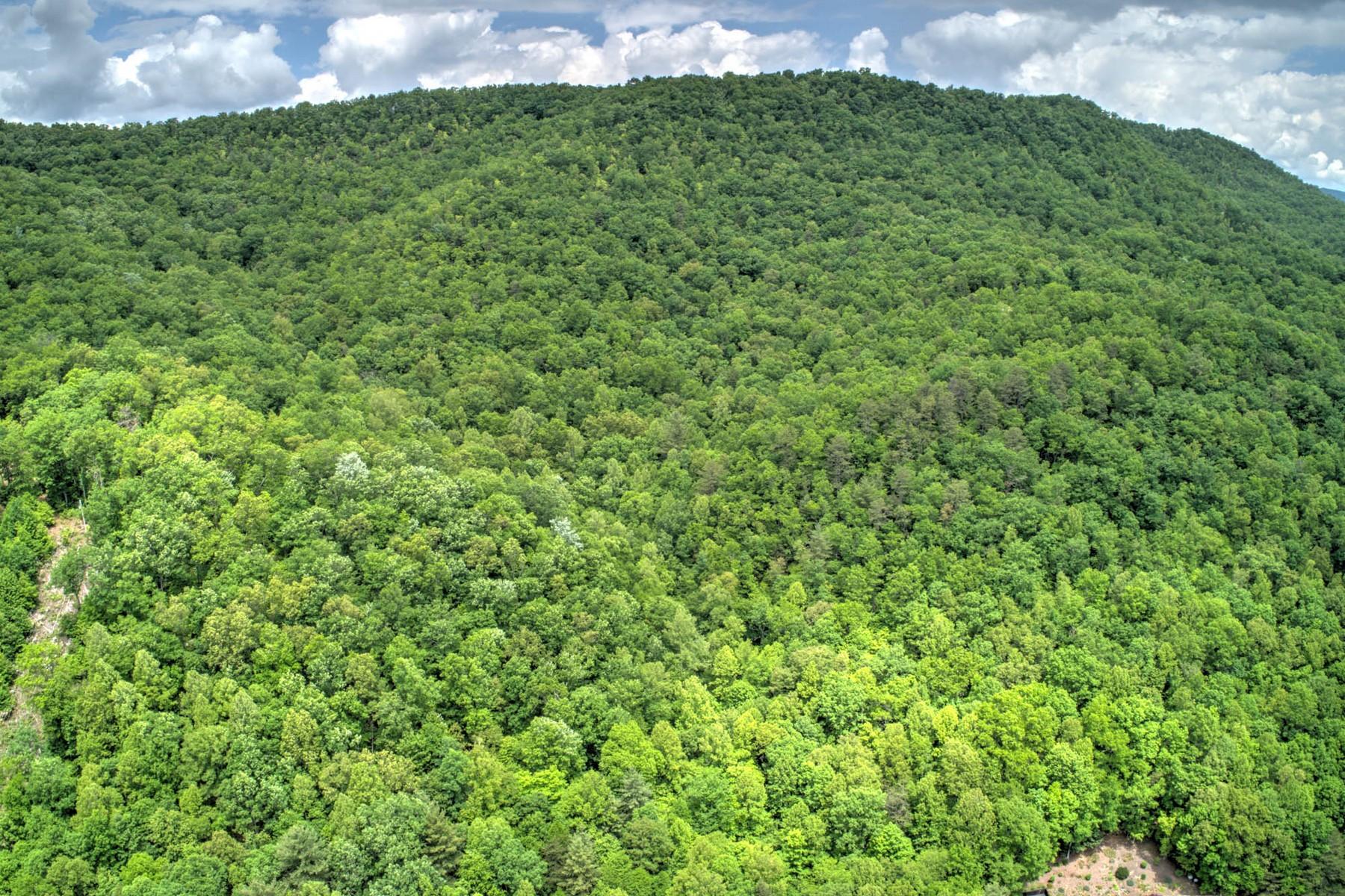 Copperhead Hollow Road Mountain City, TN 37683 - Photo 3 of 21 Copper hollow Rd6